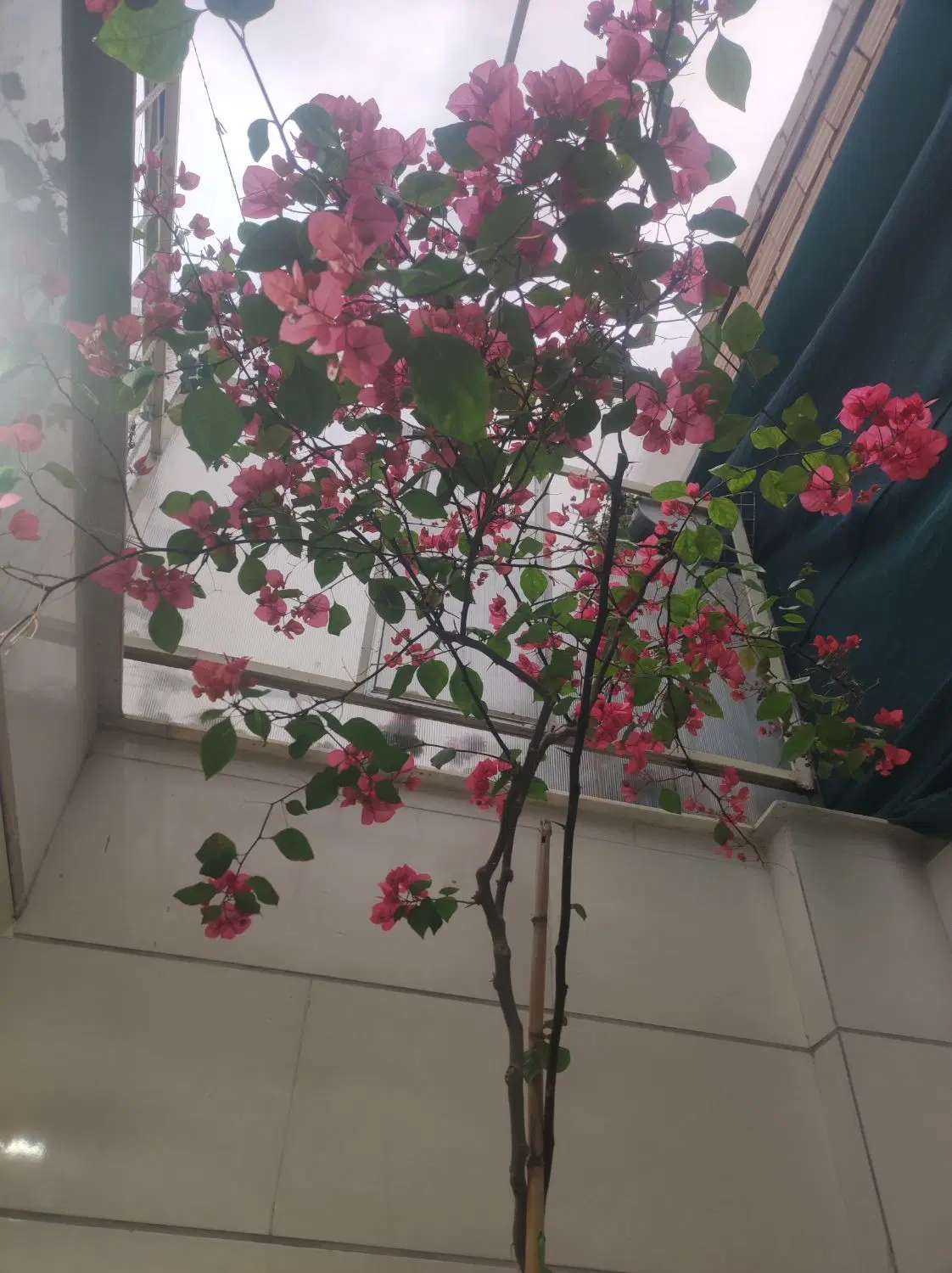 واحد ۱۱۰متری قائم مشاور مهندس خسروابادی