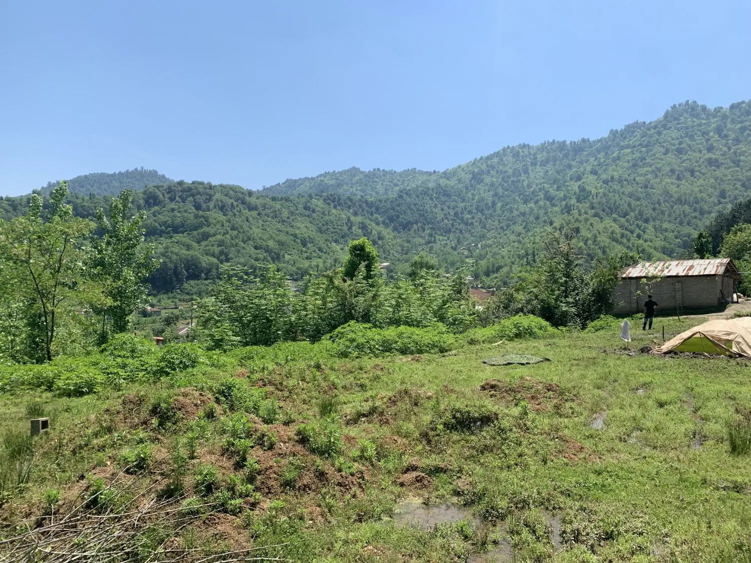 زمین کوهپایه ای خاص