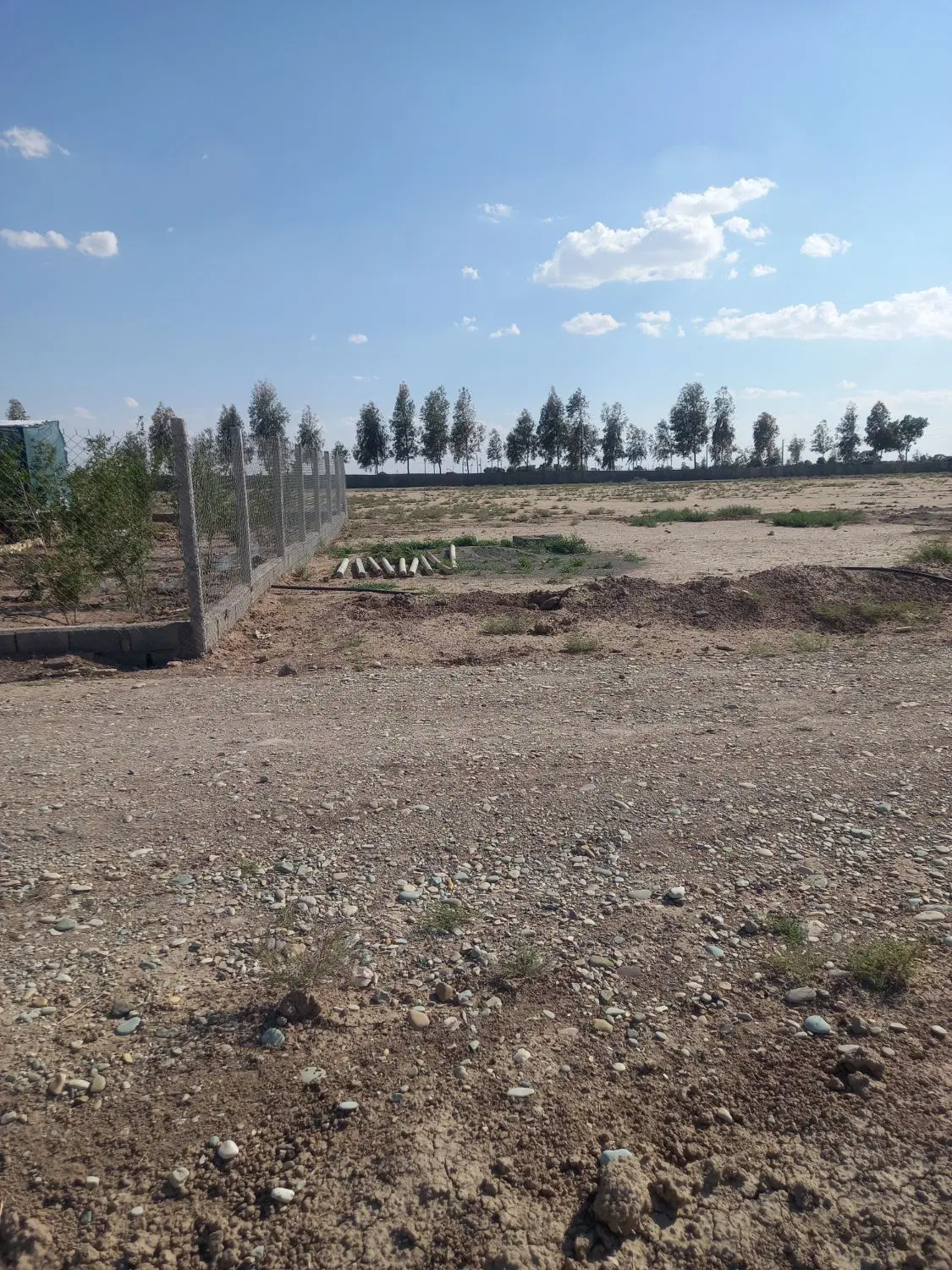 زمین باغچه ای
