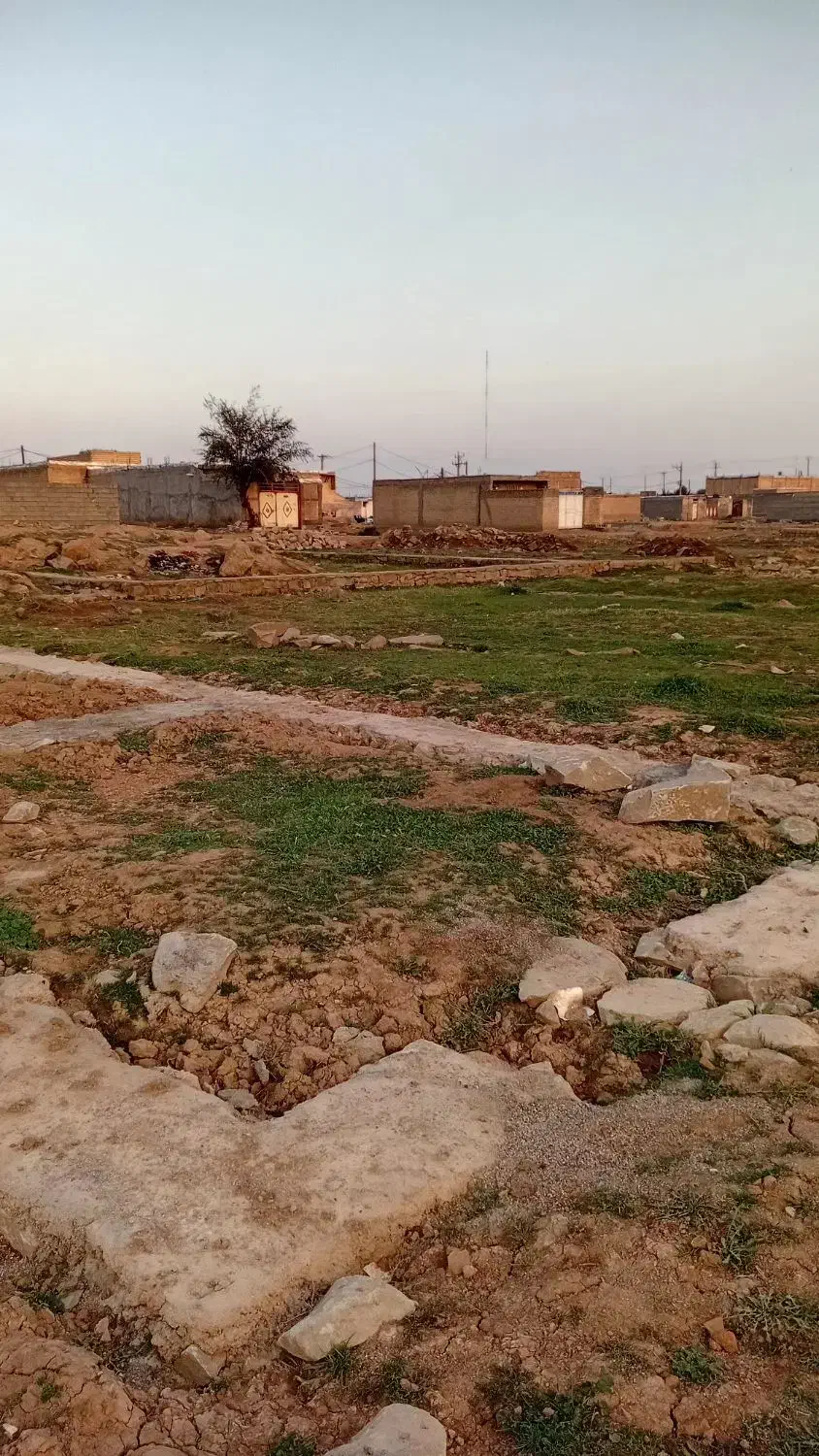 زمین بهشت رضا