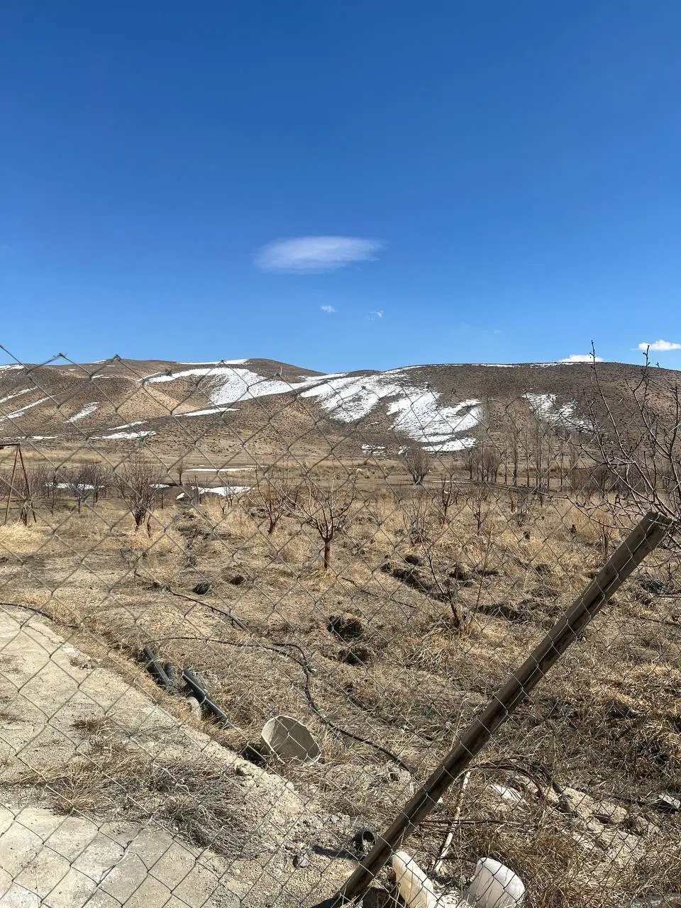 زمین باغی فیروزکوه روستای طارس