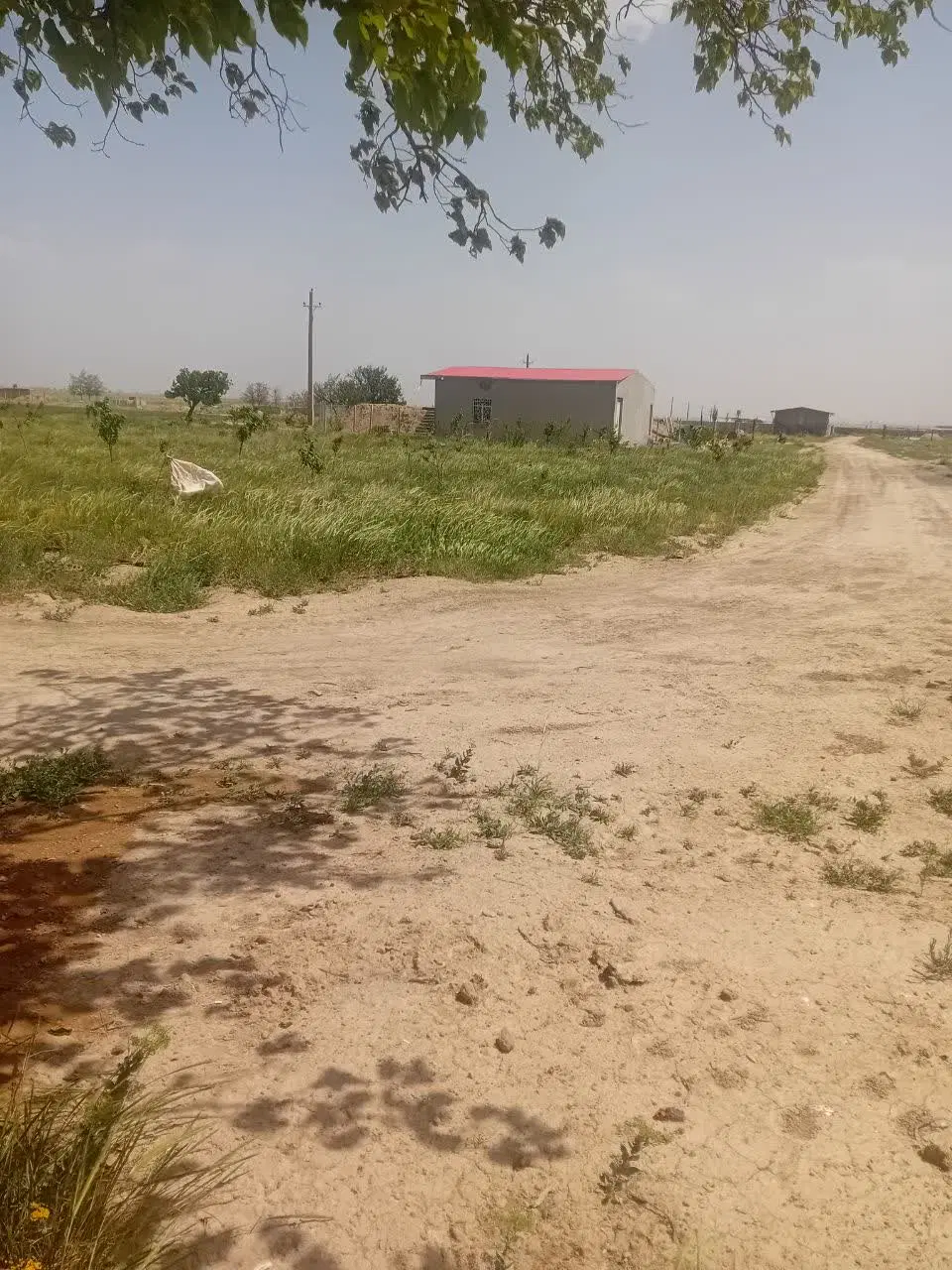 زمین باغی ۵۰۰و۱۰۰۰ متری روستای محمدیه