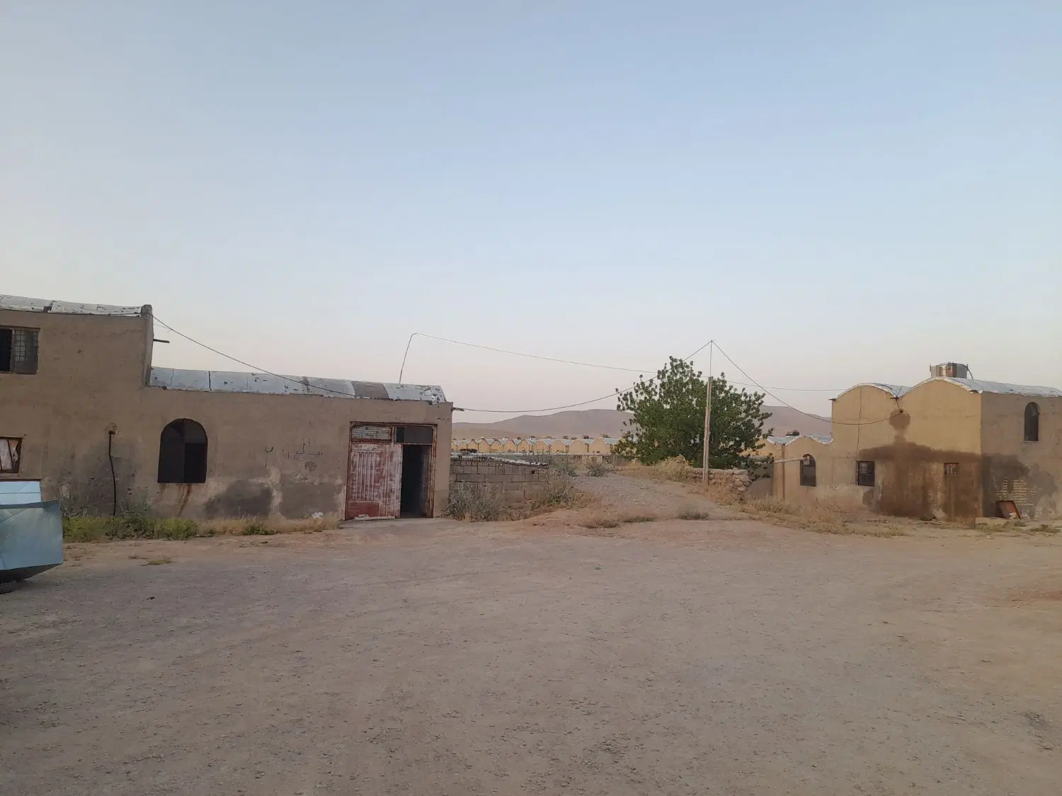 مرغداری۳۰هزاری
