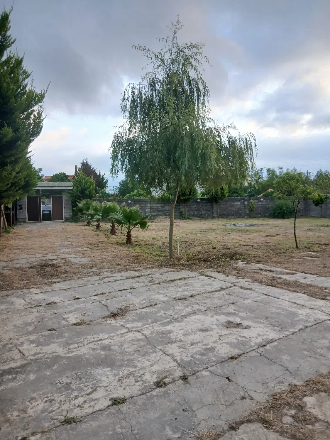 ۱۰۰۰متر ویلا  سند تک برگ نزدیک جزیره ارشیا(چمخاله)
