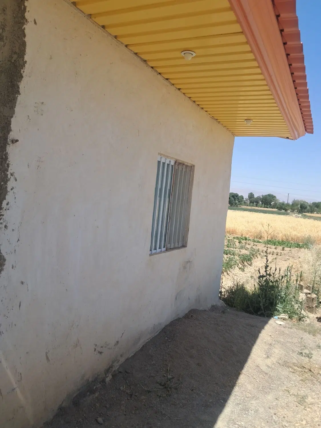 باغ فروشی