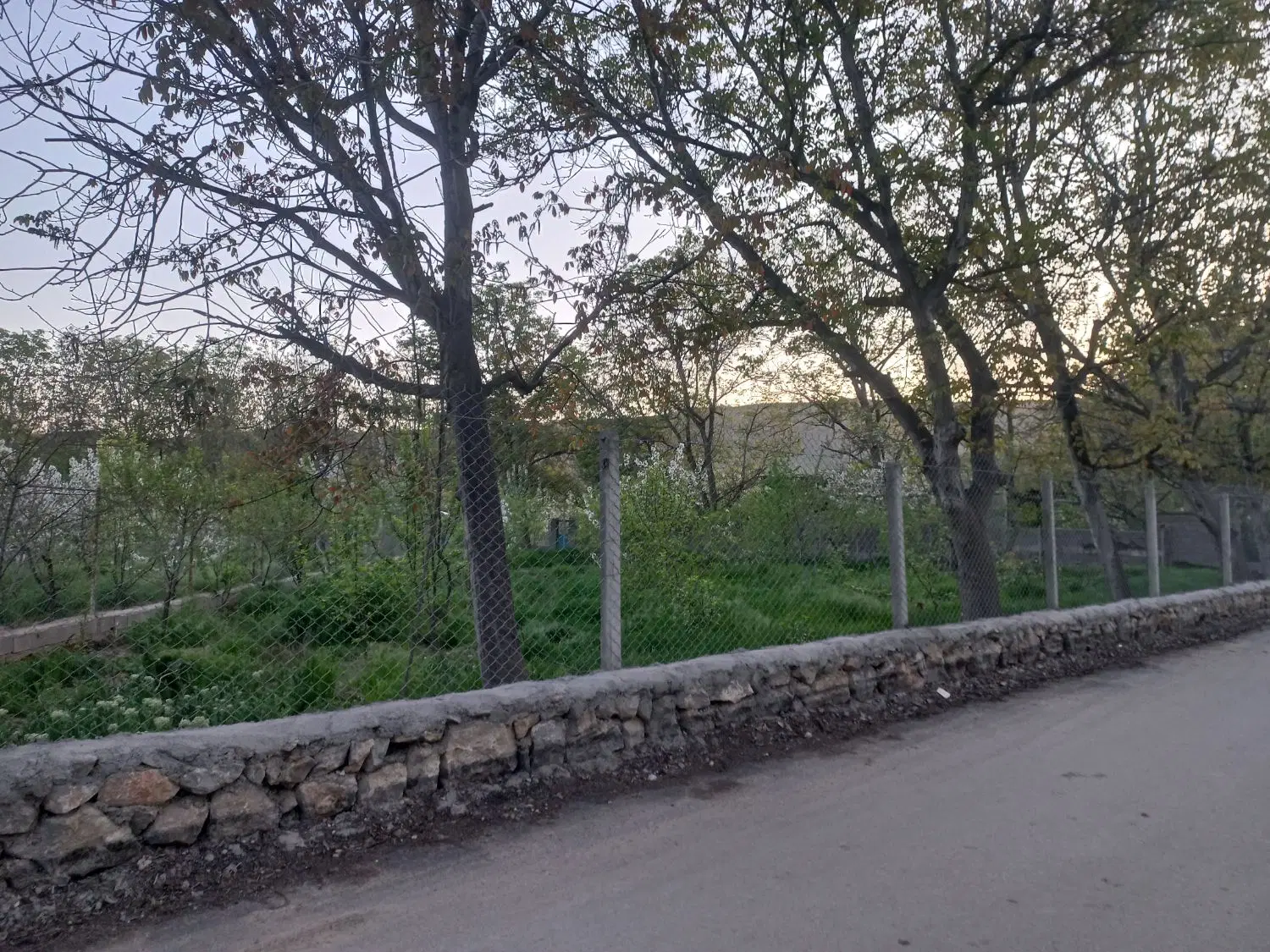 باغ میوه رشوانلو