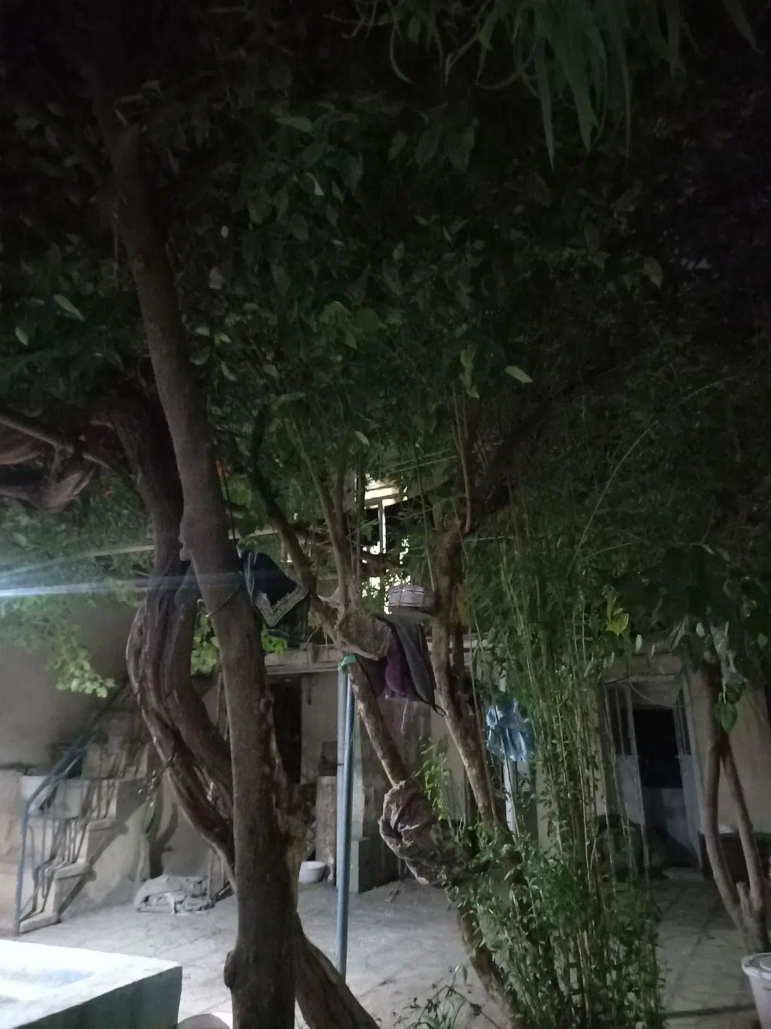 خانه دربست