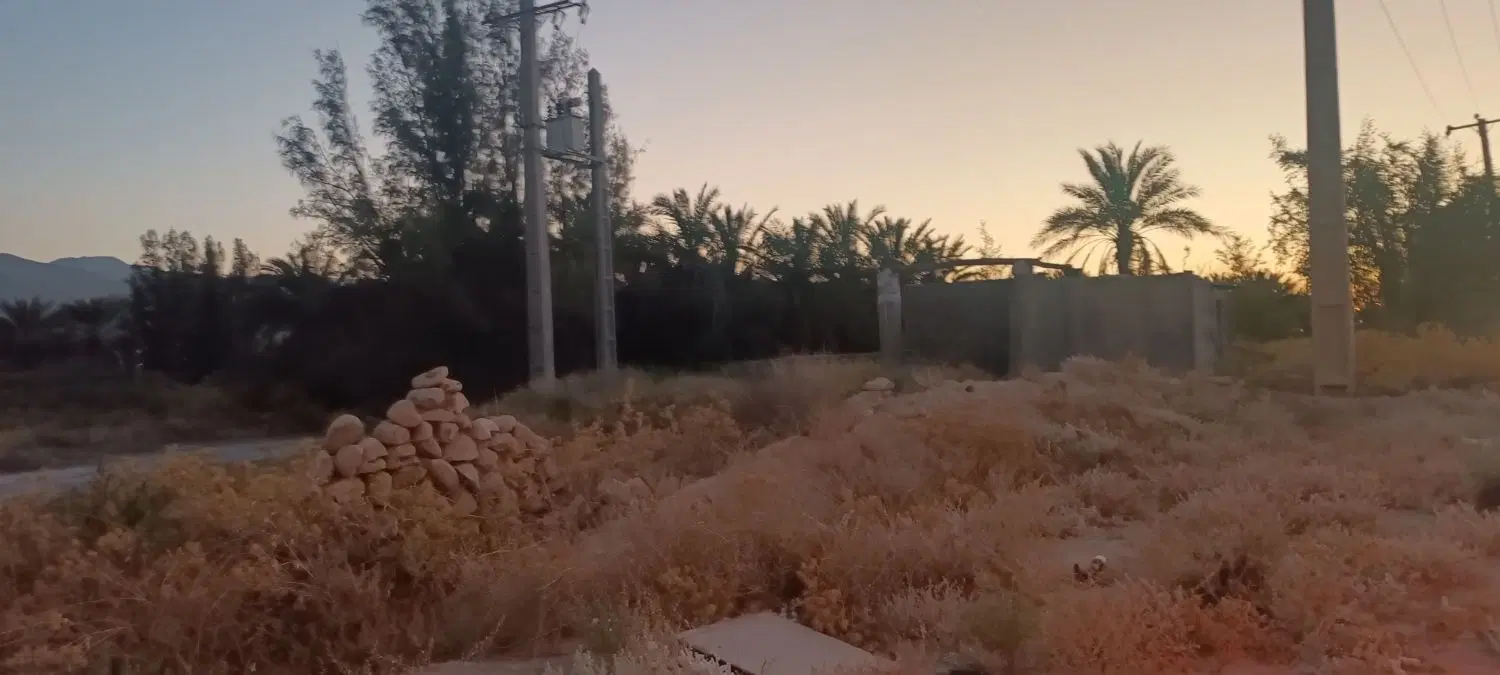 چاه و زمین کشاورزی