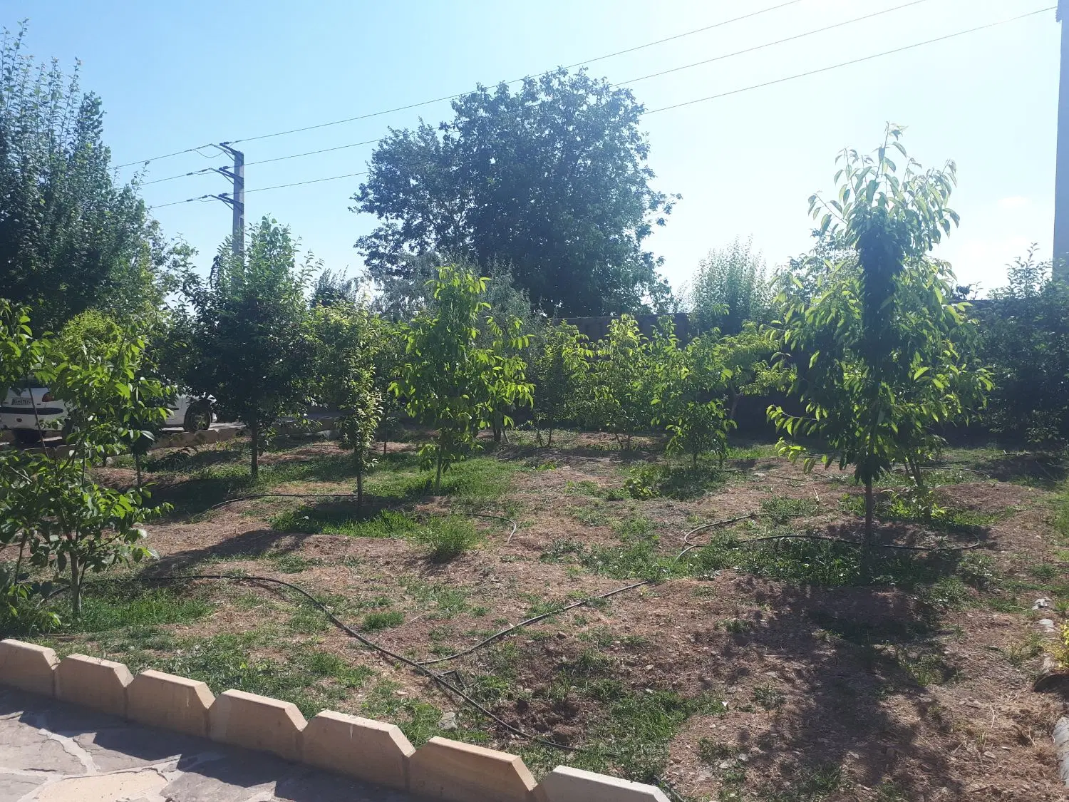 ۱۳۵۰ متر باغ ویلا سربندان