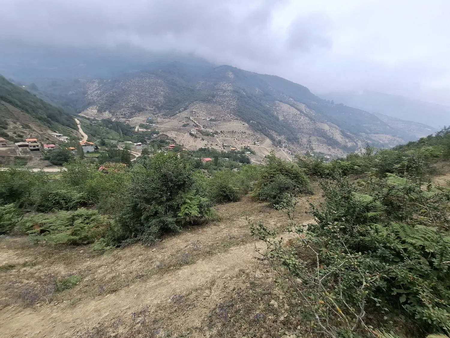 زمین فروشی زیارت
