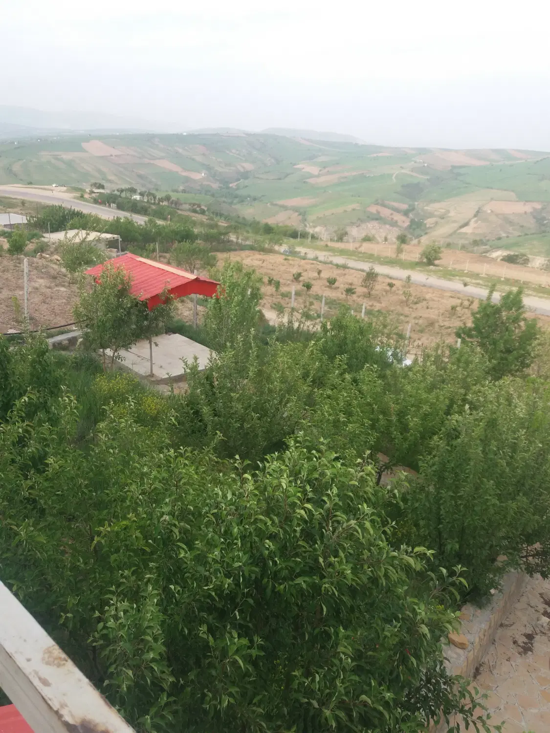 چه ملکی میخواهی امین الله تابدرانلوجاده قدیمواصلی