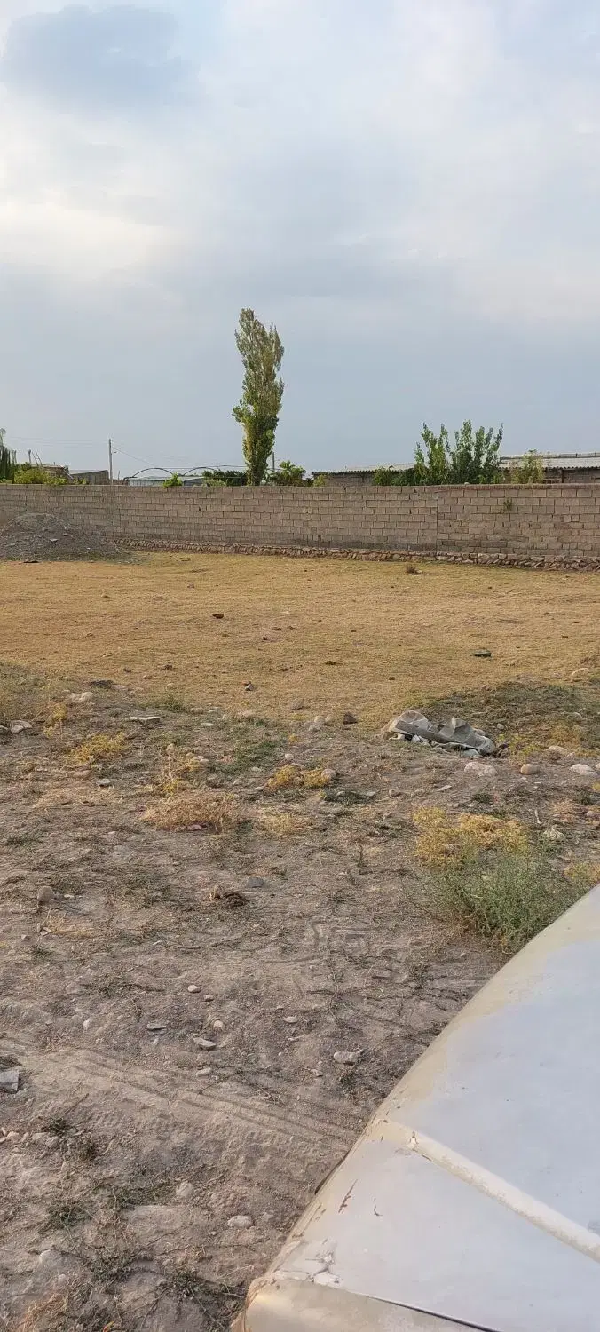 زمین ۲۴۶ متری