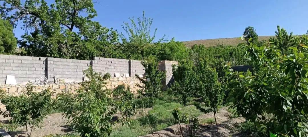 باغ دور دیوار ۷۰۰متری