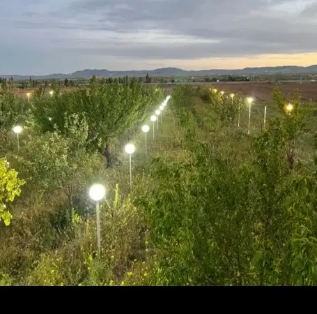 باغ ۶ کیلومتری