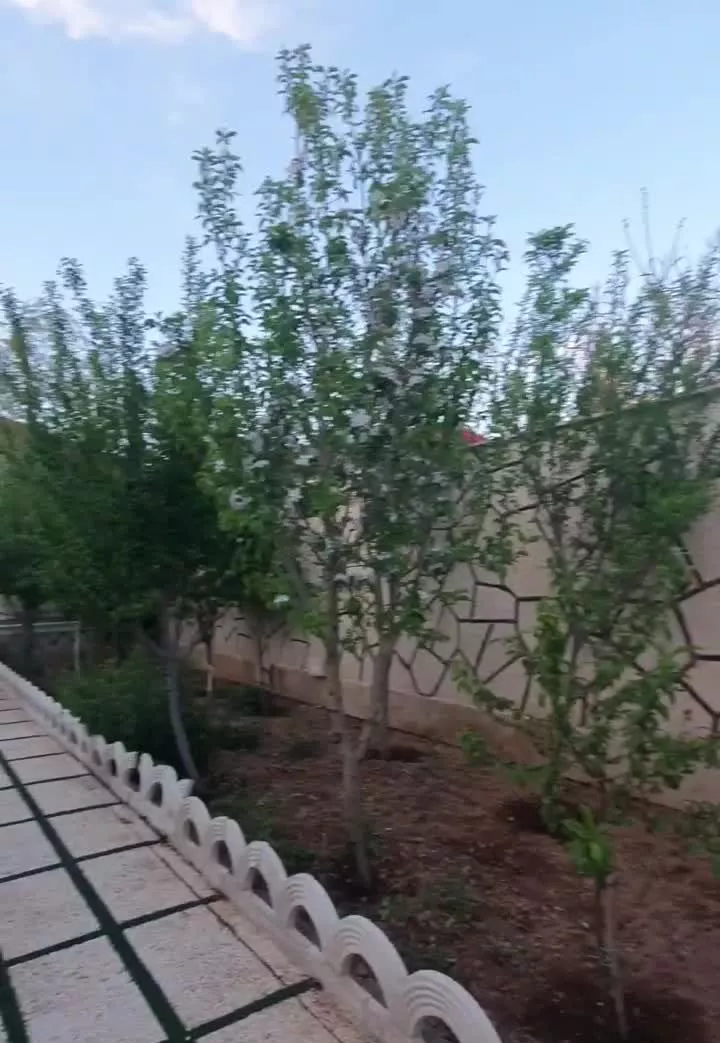 باغ ویلا *دهستان مزرعه نو* سند تک برگ