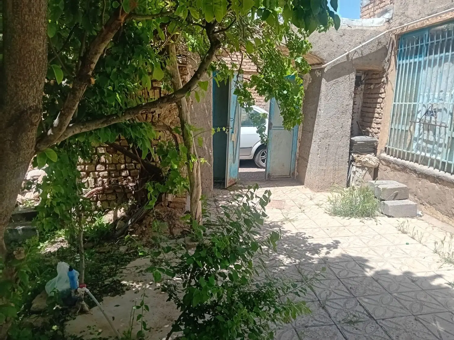 باغ میوه