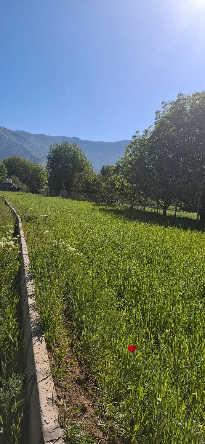زمین کشاورزی در دشت کولان