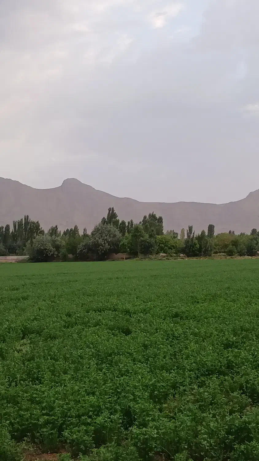 زمین مسکونی در قلعه موتور