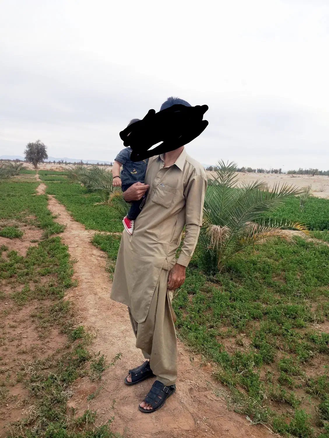 فروش درخت آب
