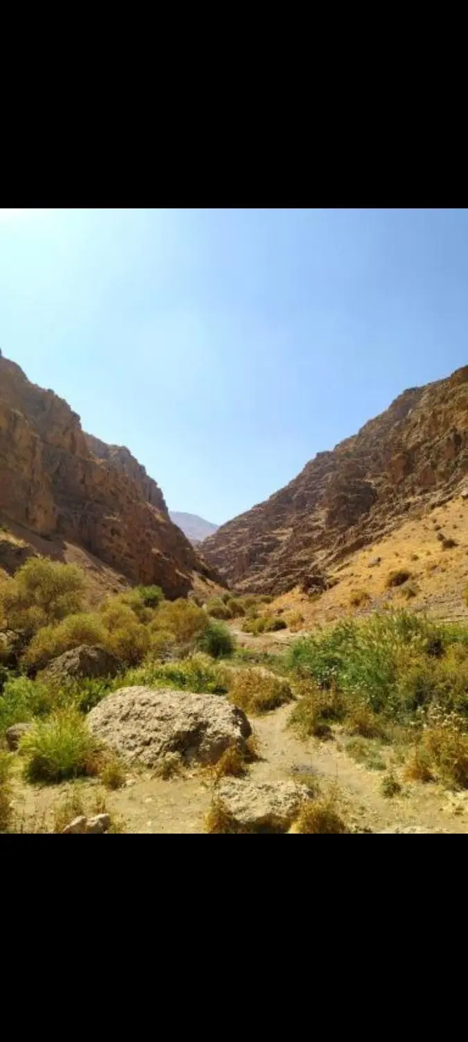 معاوضه زمین آماده ساخت گلدشت بروجرد فقط با تجاری