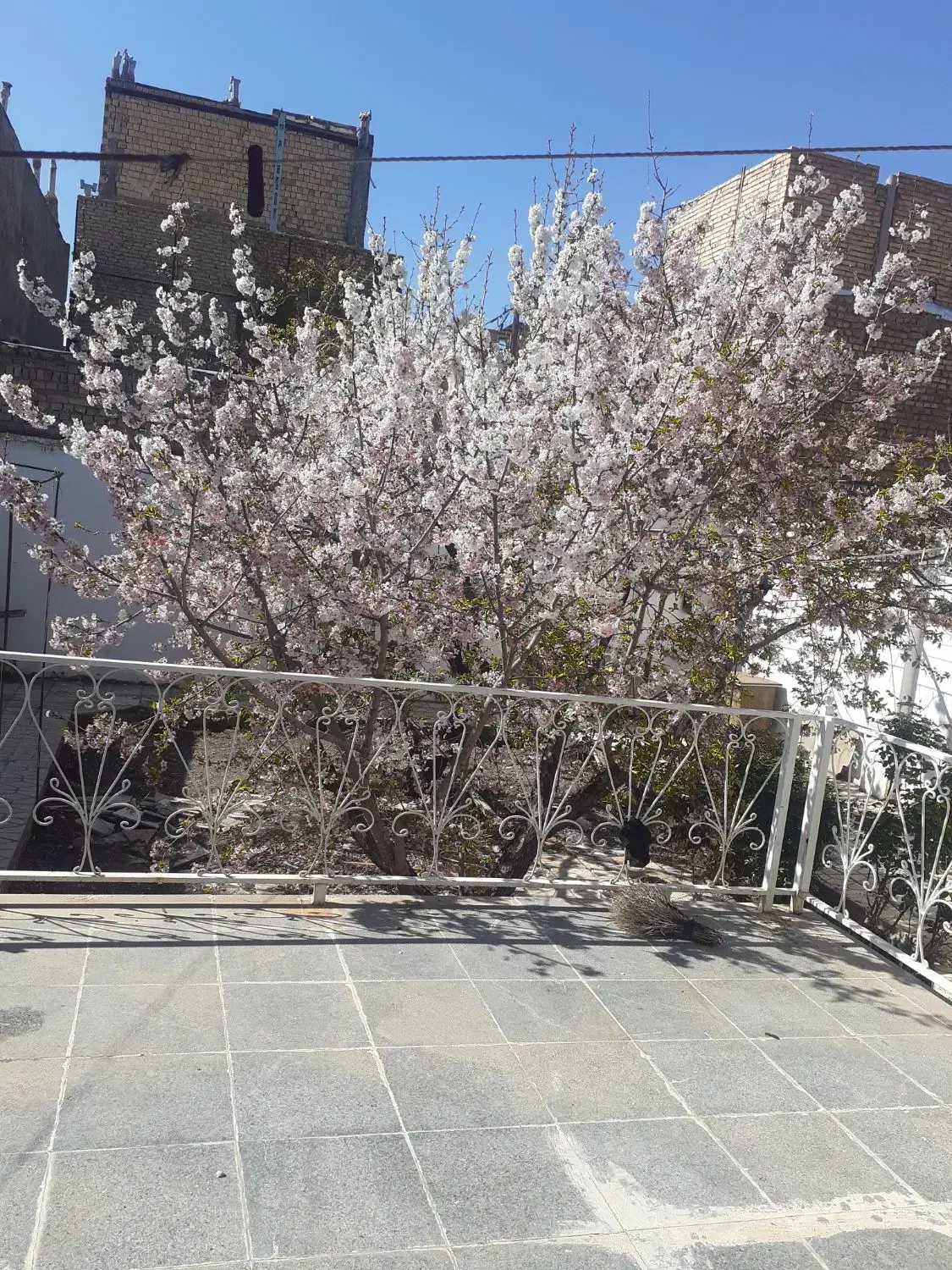 فروش ویلائی