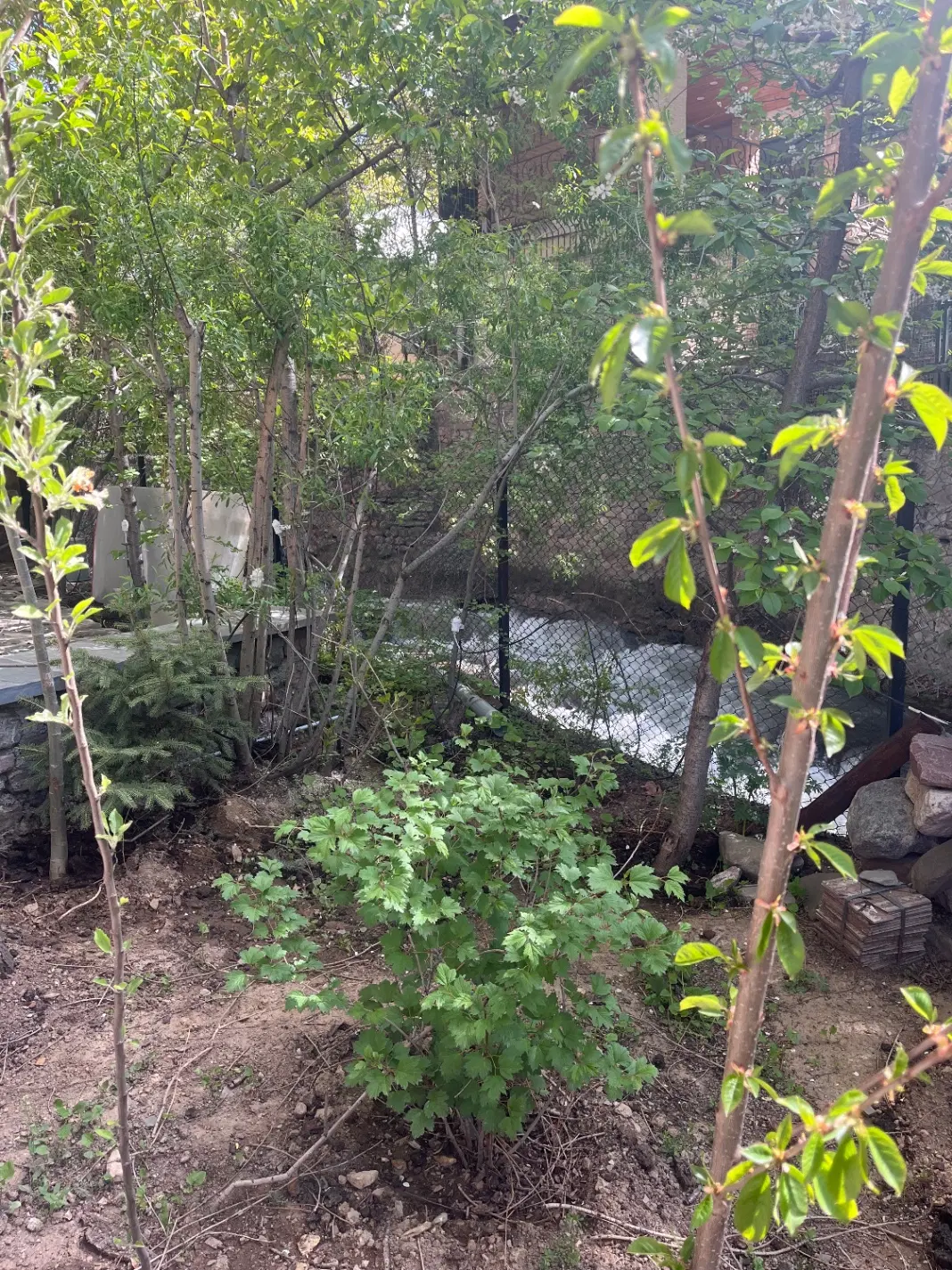 اجاره ویلا کنار رودخانه