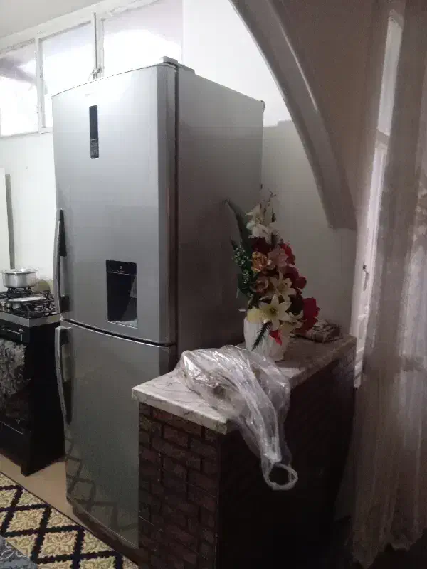 همخونه خانم