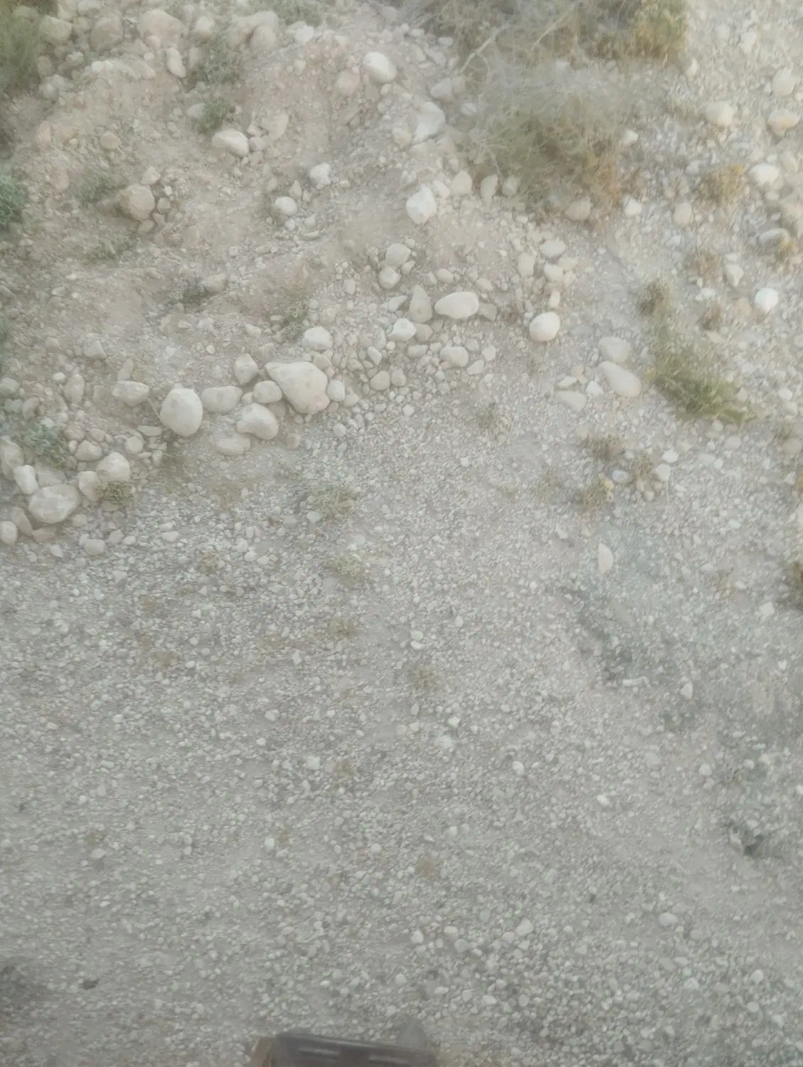 زمین
