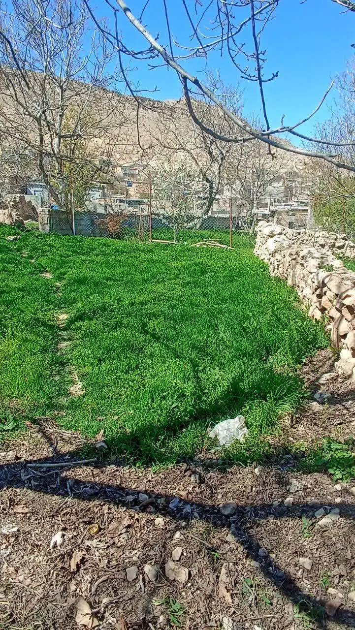 باغچه کشاورزی ارکان(نزدیک چشمه)