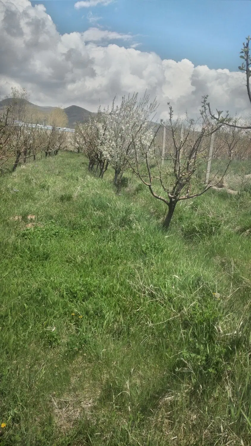 باغ روستایی کهل