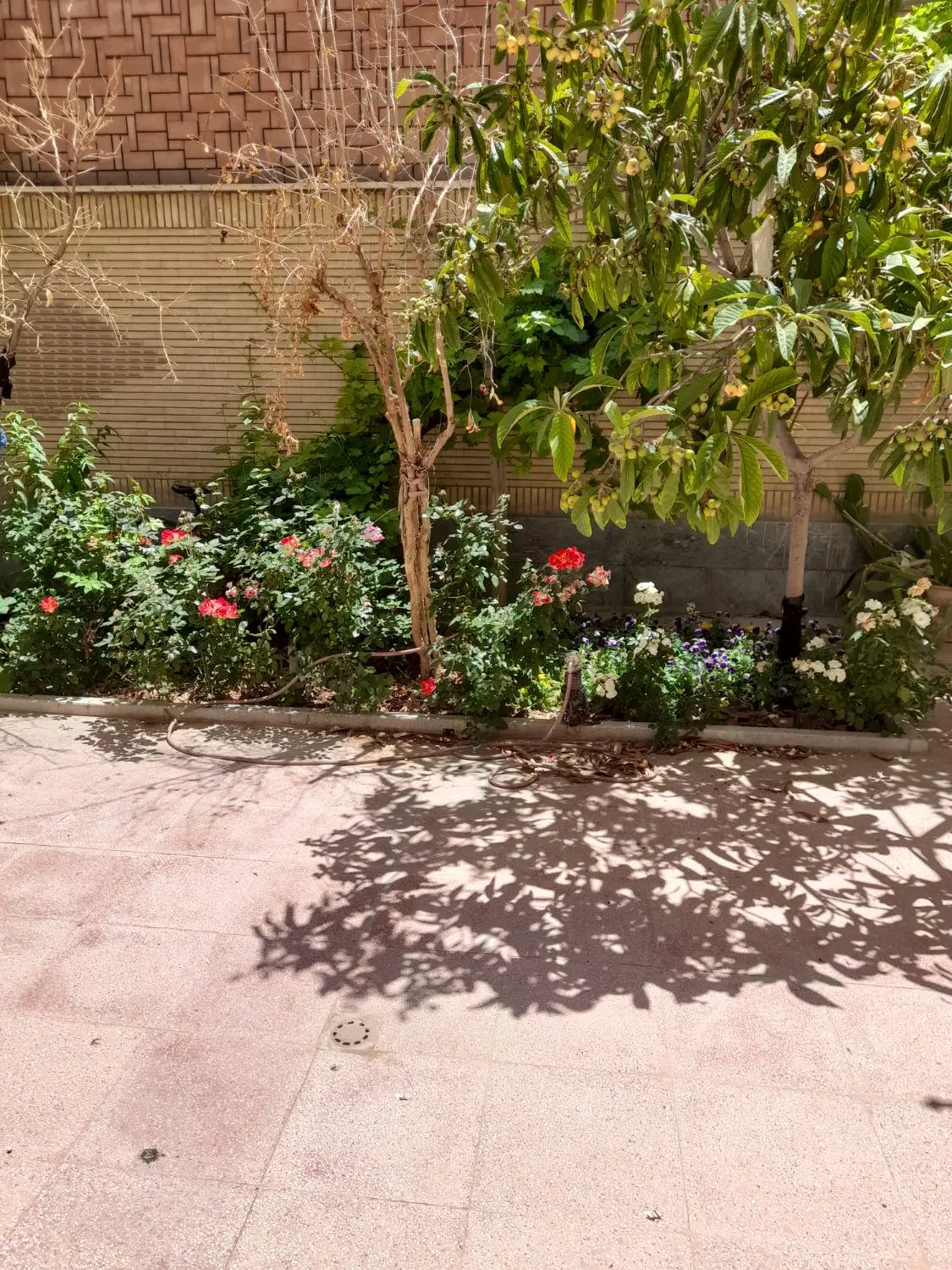 رهن و احاره حیاط اختصاصی بزرگ