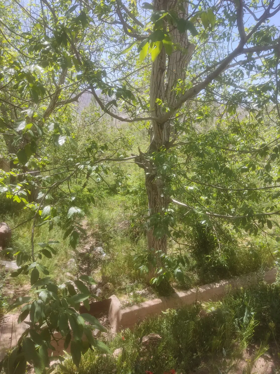 زمین فروشی