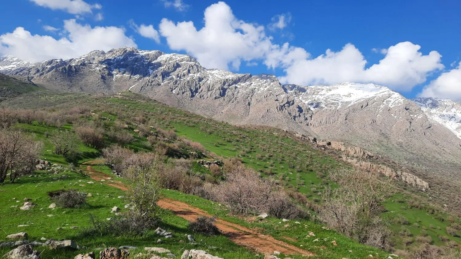 فروش زمین غیرآزادصفی آباد