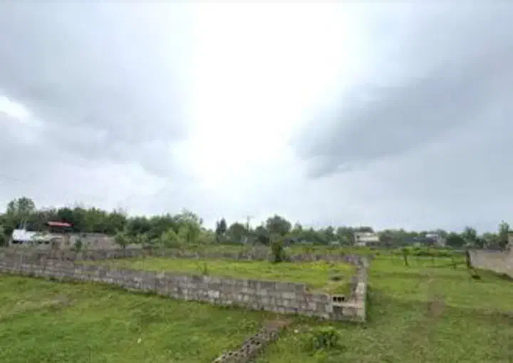 زمین در روستای نوکاشت،نزدیک ماسال