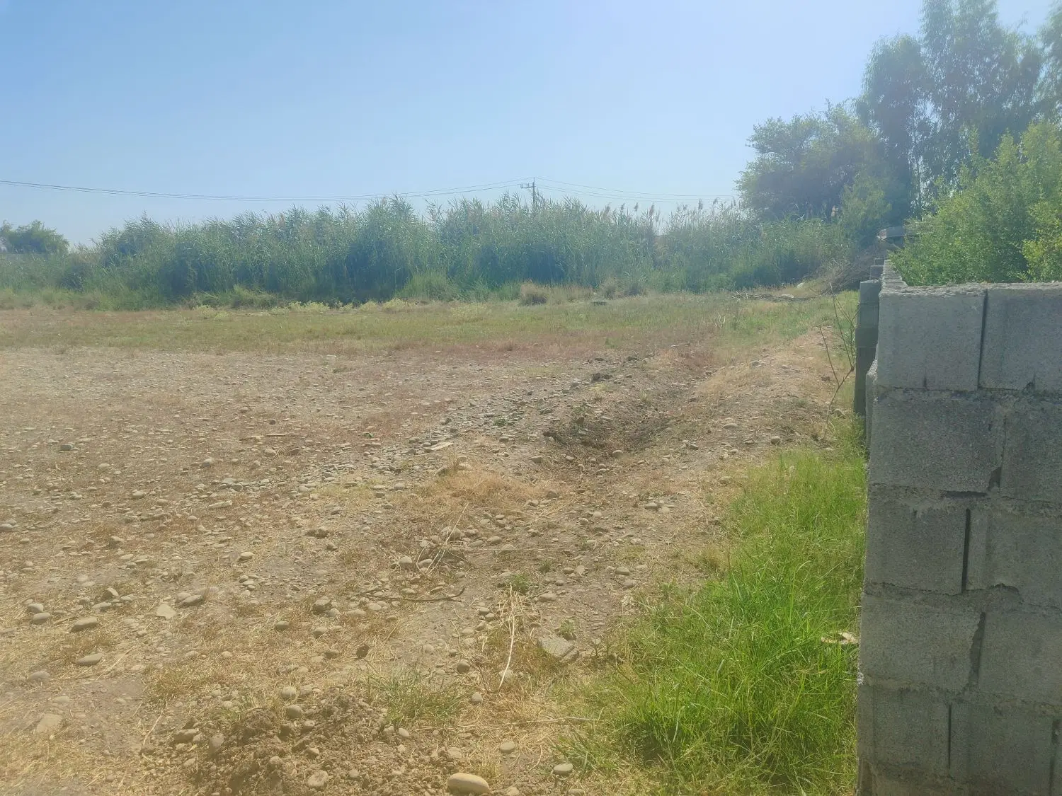 زمین باغچه ای