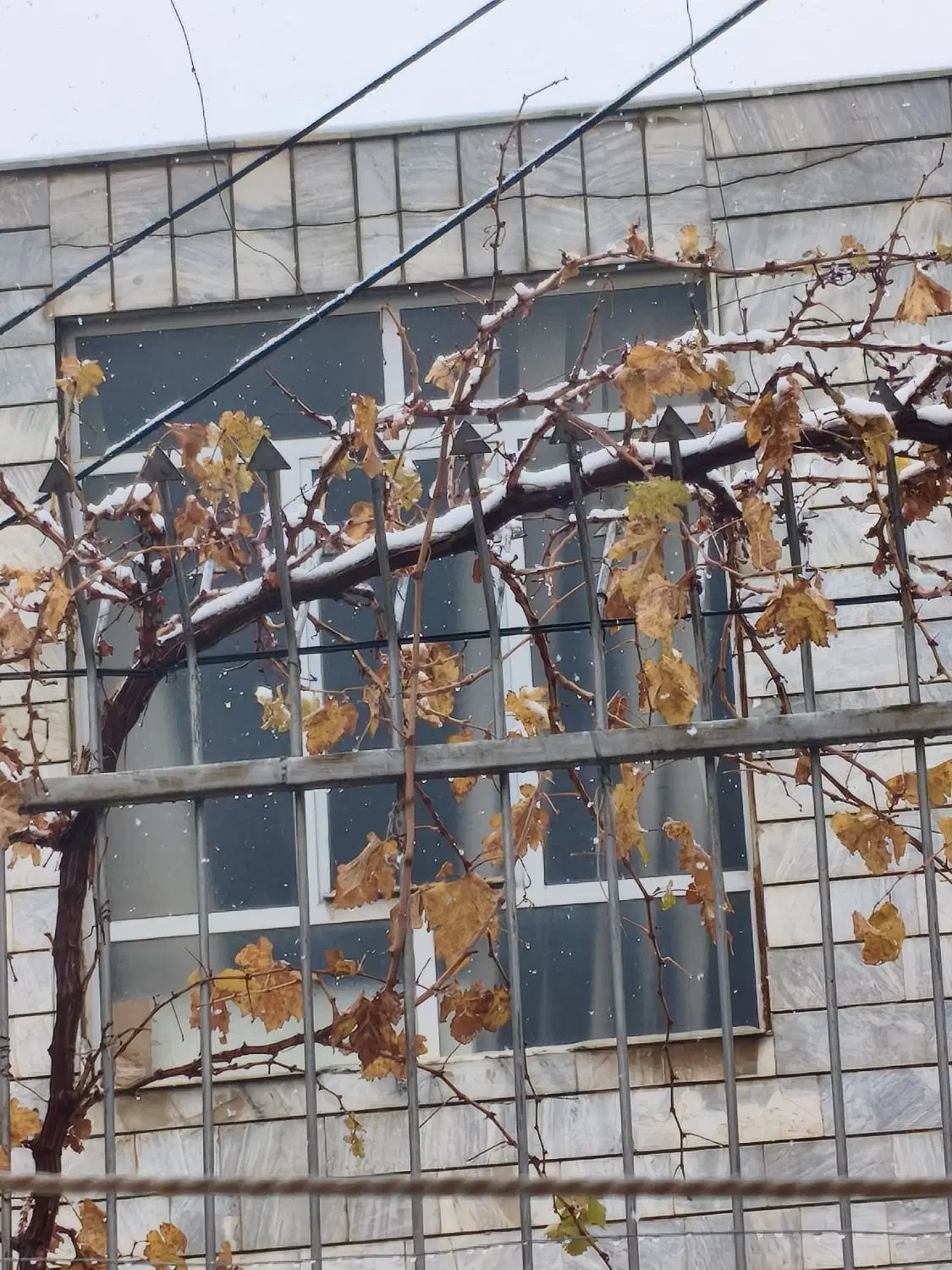 اجاره مغازه ۲۰ متری بر خیابان
