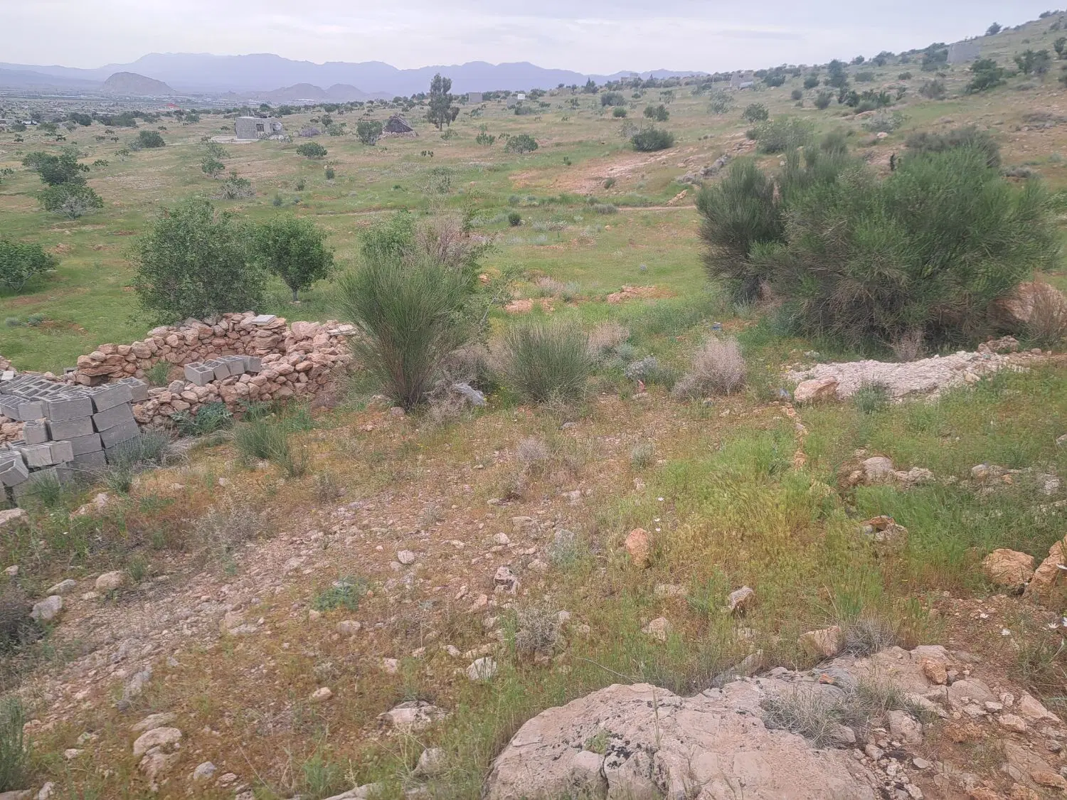 ملک