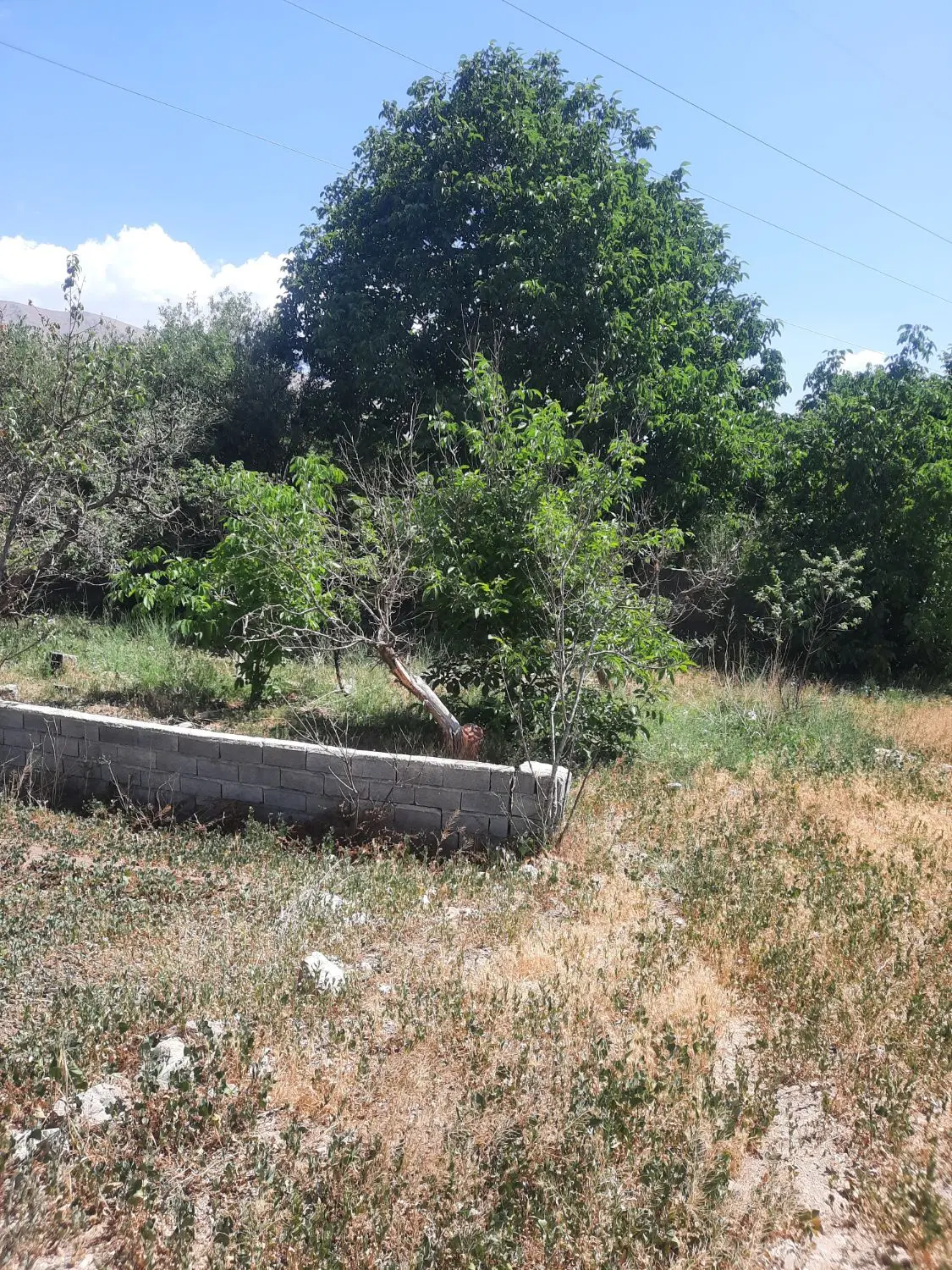 ۳۶۰متر باغچه درجابان