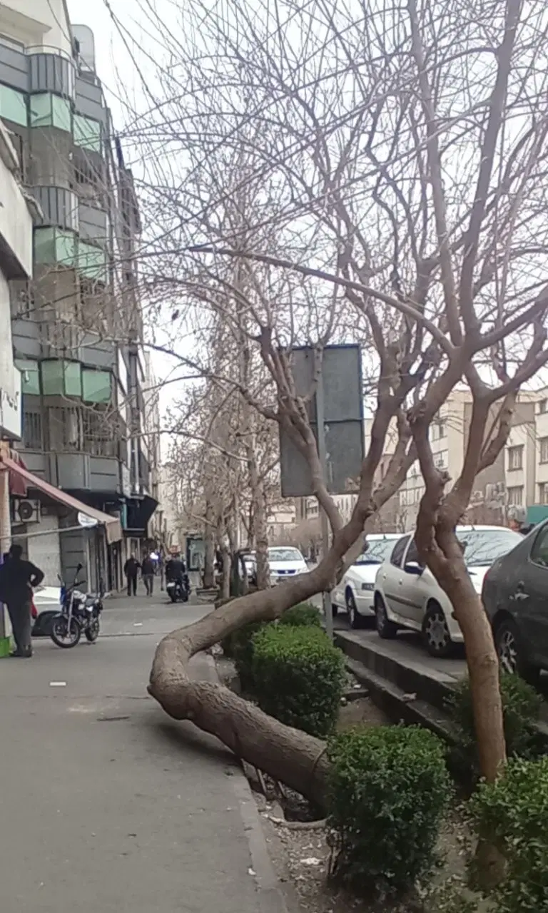 60 متر تجاری  3 راه گوهردشت