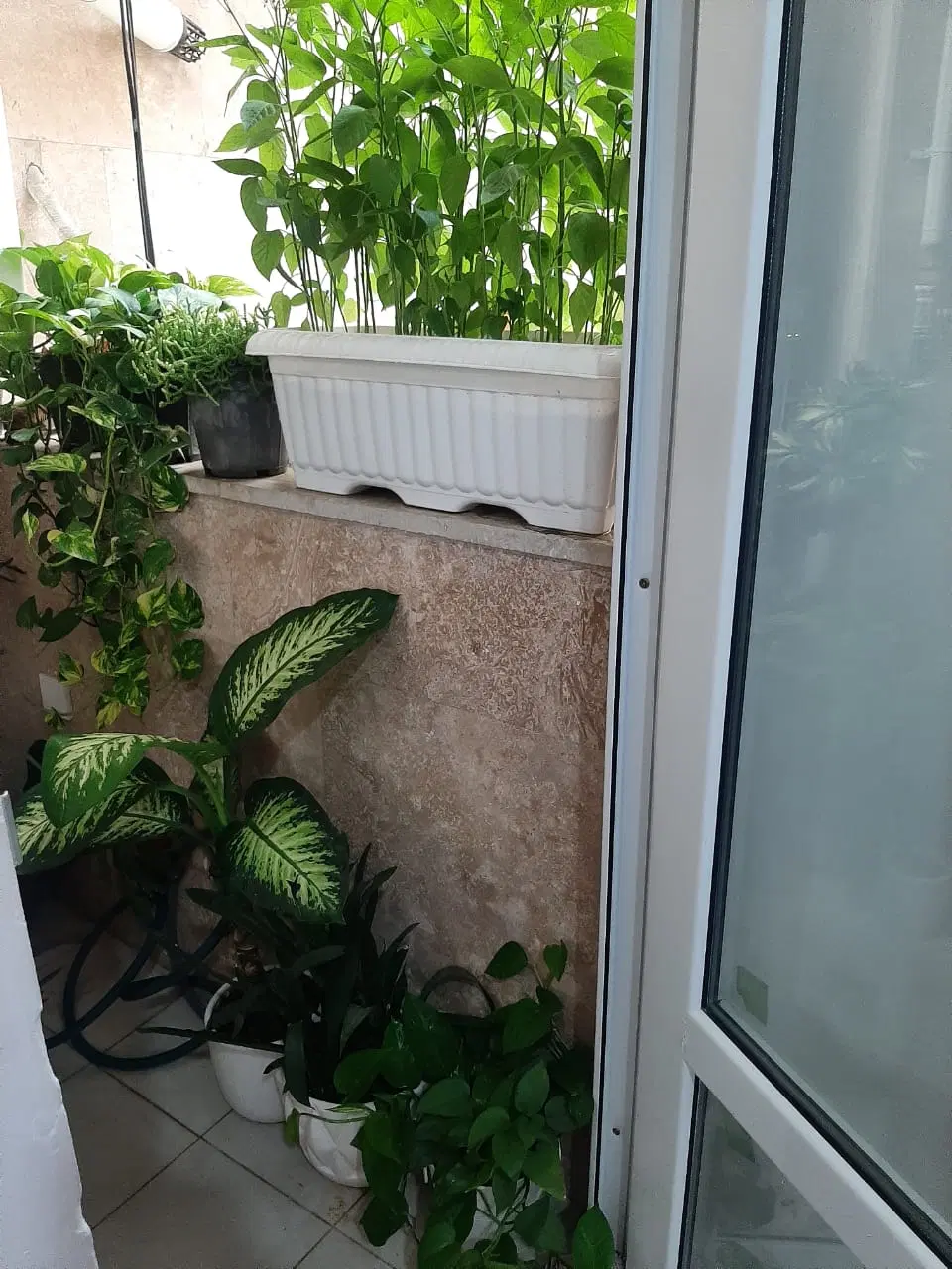 200متر ویلایی با 30متر مغازه