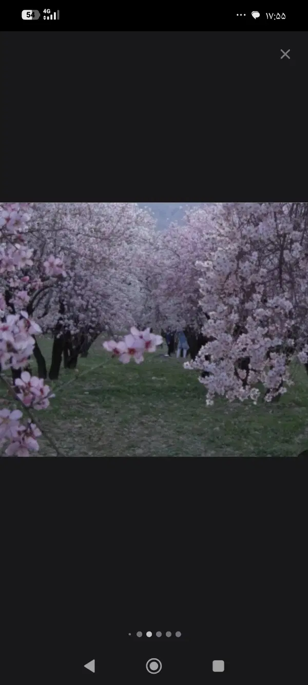 زمین باغی