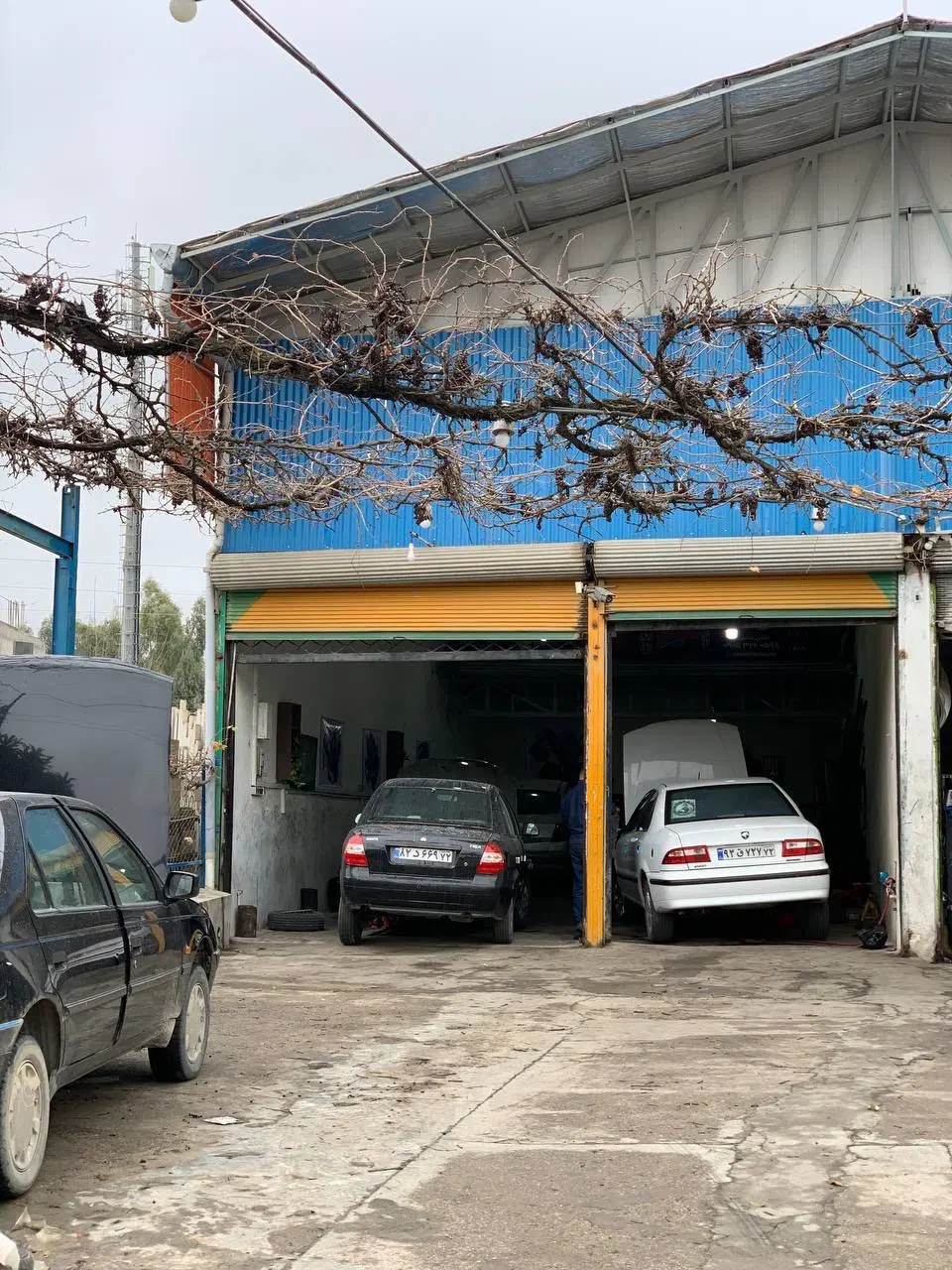 سوله و تجاری سرمایه گذاری