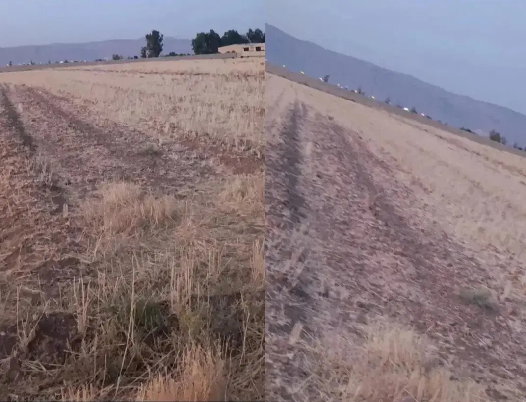 زمین در شهرک دودمان