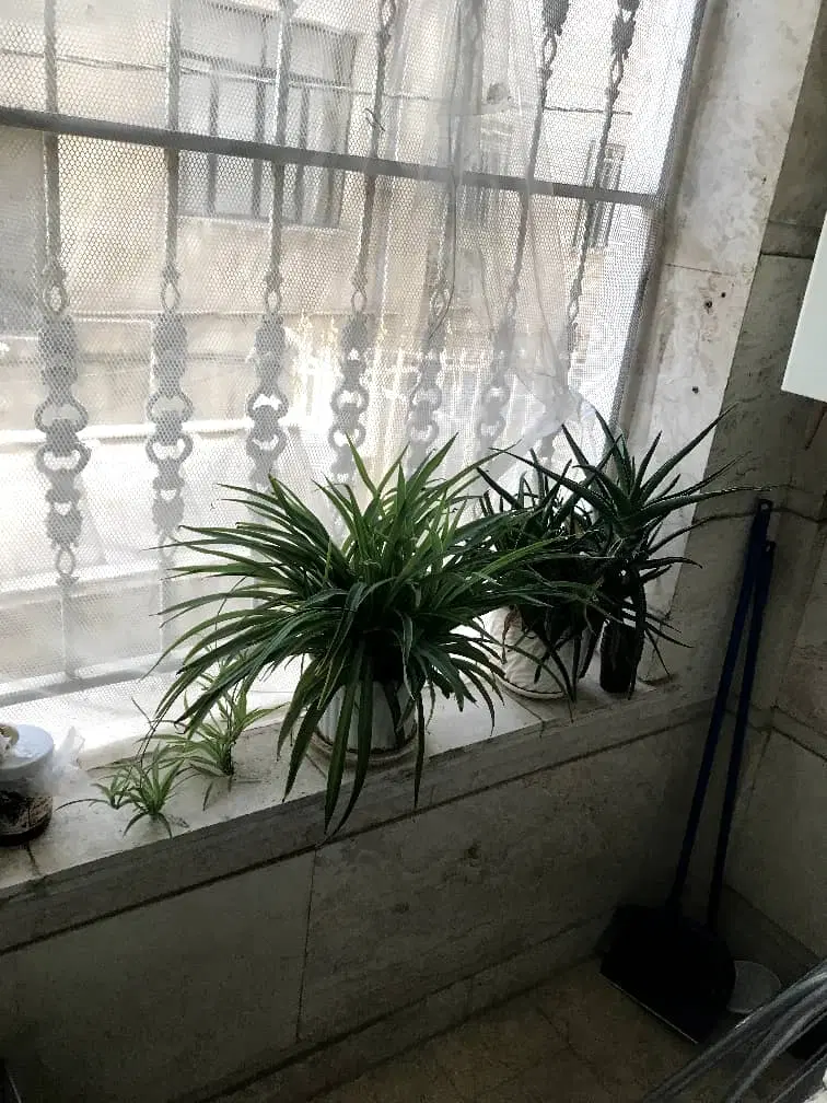 ۶۰ متر  فول امکانات،تک واحد