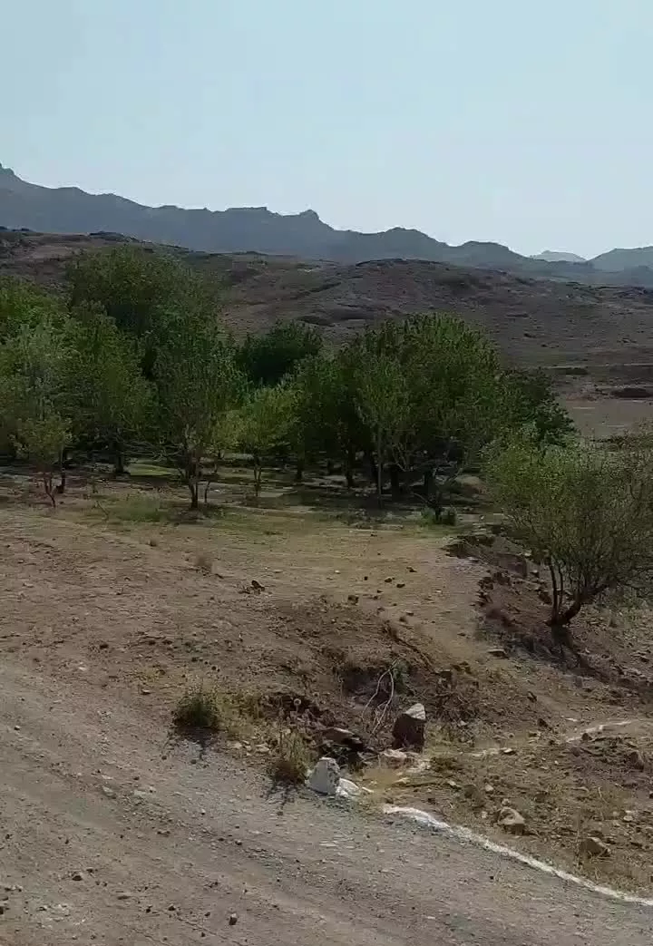 ۹۰۰ متر زمین چهار بر واقع در خاوه و فردو