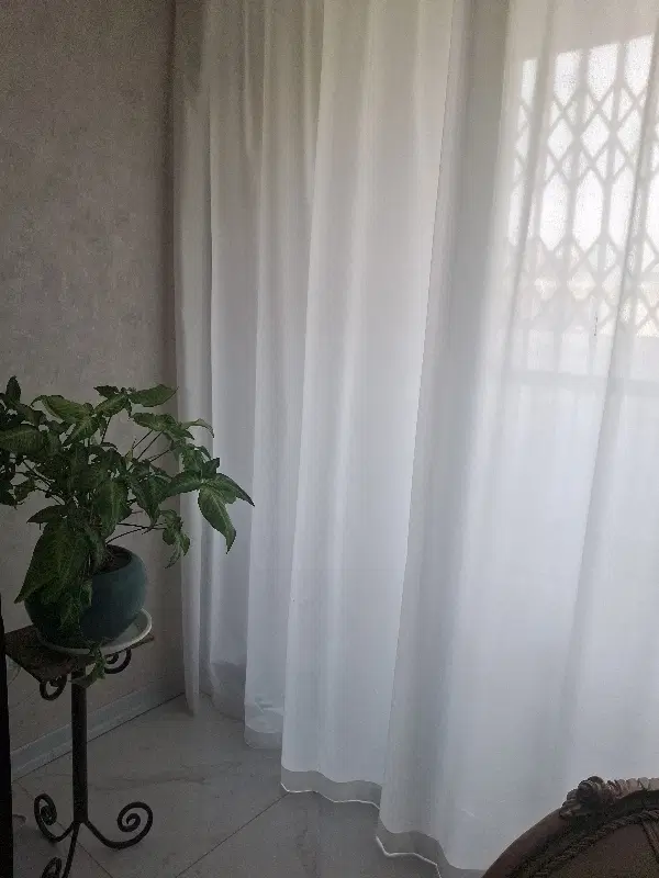 هم خونه هم خانه