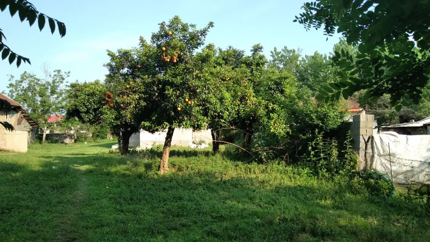 زمین مسکونی