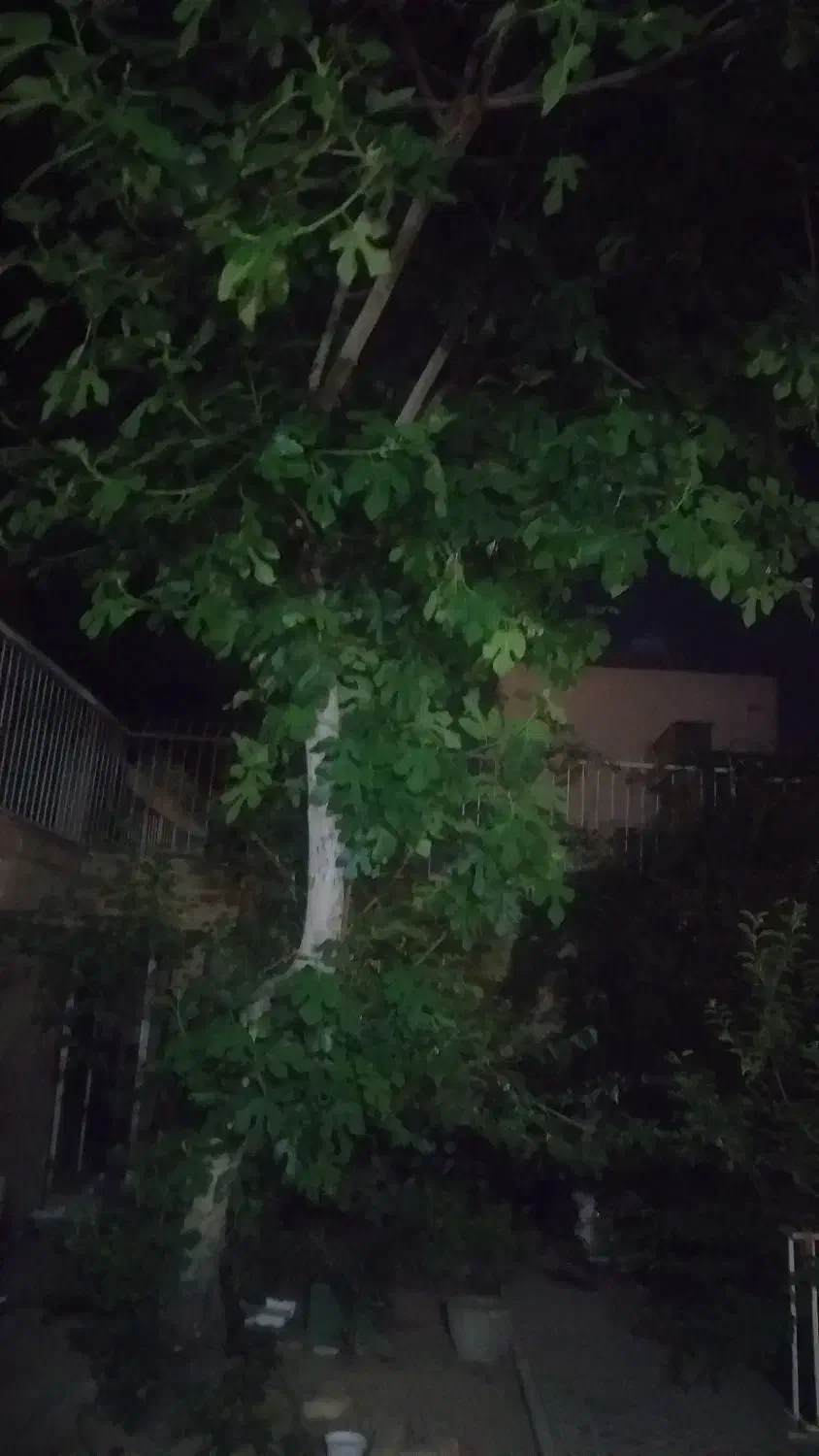 اجاره ملک کهندژ  چهار راه مارببن