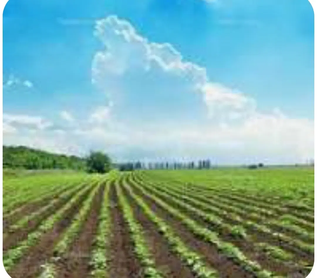 زمین کشاورزی تو روستاهای استان البرز بفروش میرسد