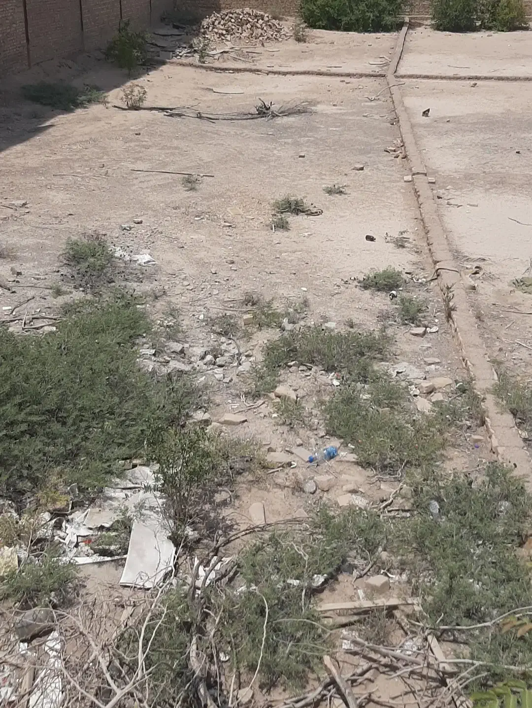 تجاری گل جای میبد